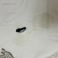 Foto da avaliação