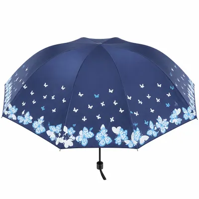 Guarda chuva 