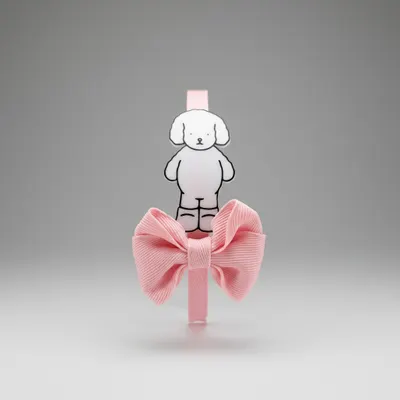 Tiara bobbei goods 