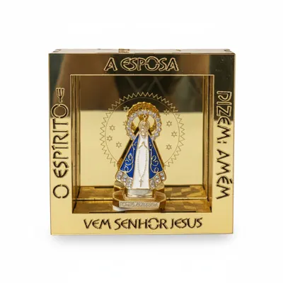 Nicho NSA Aparecida P