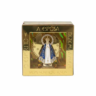 Nicho NSA Aparecida PP