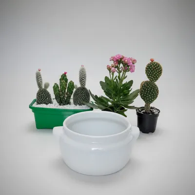 TIGELA CUMBUCA COM ALÇAS 700 ML ,PORCELANA VAIAO FORNO E MICO ONDAS