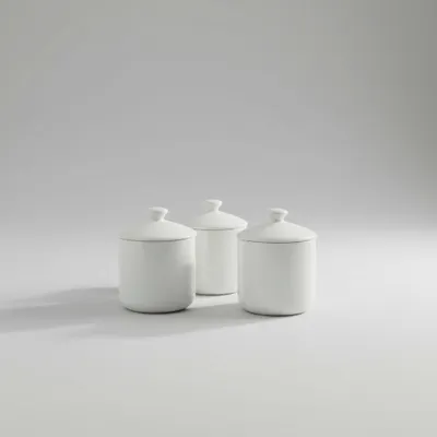 KIT 3POTES COM TAMPAS 400ML,PORCELANAS VAI AO FORNO E MICRO ONDAS