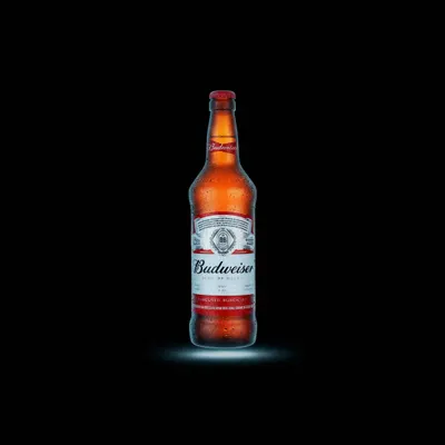 BUDWISER 330ML LONG NECK