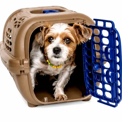 Caixa de Transporte Nº 1  para Cães e Gatos 18L até 3kg 41,5x28x24cm