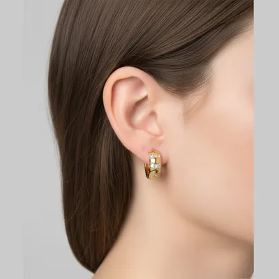Conjunto Brincos Argola Ouro Cravejado