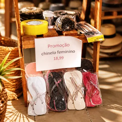 Chinelos Femininos Versáteis