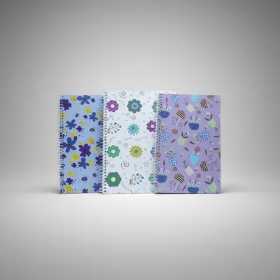 Caderno universitário CD 96 folhas UAU