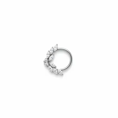 Daith borboleta prata