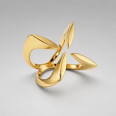 Anel Orgânico Folhas Liso Banhado a Ouro 18K
