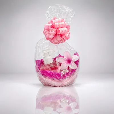 Cachoalha/Bow Cupcake Gift