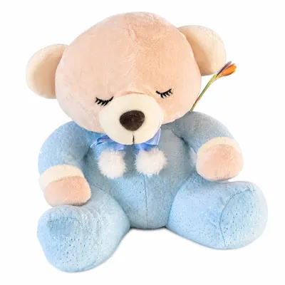 Urso de Pelúcia Pequeno (Hipoalergênico)