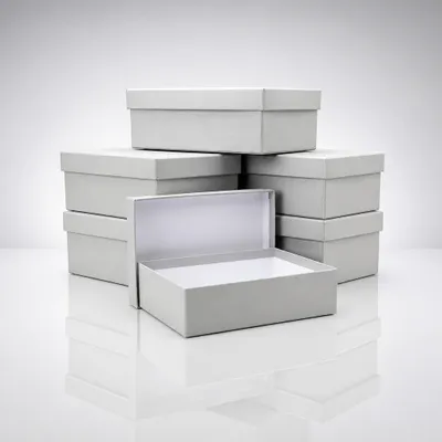 Caixa cartonada 30x20x9 cinza