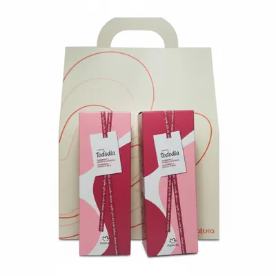 KIT TODO DIA FRAMBOESA E FRUTA VERMELHA