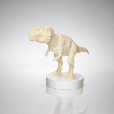 Dinossauro Gigante 