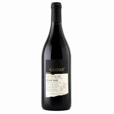 Cabert Trevenezie Pinot Nero 