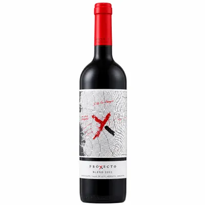Proxecto X “El Inicio” Blend 