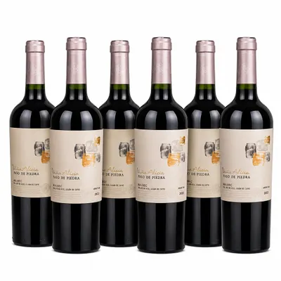 PROMOÇÃO Viña Alicia Paso de Piedra - Cx c/6 Und 