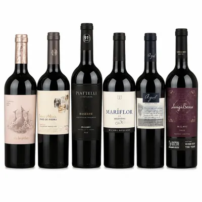 Combo Malbec - 6 Und para experimentar 