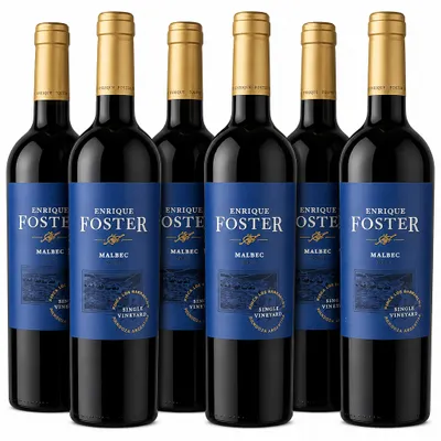 PROMOÇÃO Enrique Foster Malbec - Cx c/6 Und 
